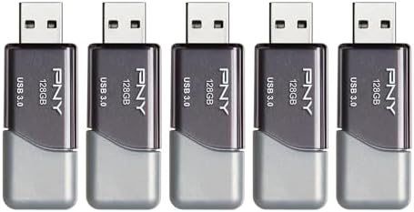 PNY 2 GB Optima SD Card – Dependable Class 4 Flash Memory for Hassle-Free Data Storage Across Devices