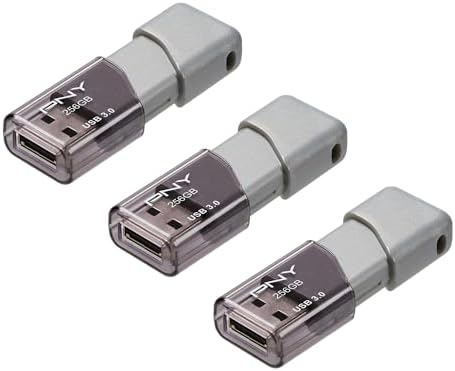 PNY 2 GB Optima SD Card – Dependable Class 4 Flash Memory for Hassle-Free Data Storage Across Devices