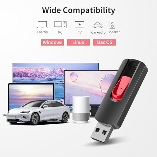 RAOYI 5-Pack 64 GB USB Flash Drives – High-Speed USB 2.0 Memory Sticks for Effortless Data Transfer and Storage – Portable Thumb Drives for PC and Laptop – Ideal for Organizing Photos, Documents, and Videos – Multi-Pack Convenience for Home and Office Use
