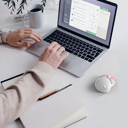 Adorable Pink Cat Wireless Silent Mouse – 2.4 GHz Plug and Play Optical Companion for Laptop & PC – Compact, Noise-Free Design Perfect for Home, Office, and Study Sessions – Cute Cat-Themed USB Nano Receiver Included