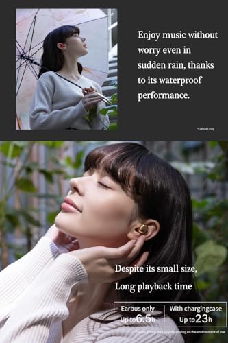Chic Heart-Shaped Wireless Earbuds for Small Ears – AVIOT TE-I3 with Bluetooth 5.3, 23-Hour Playtime, IPX4 Waterproof Protection, Multipoint Connectivity, Ambient Sound Awareness, and Built-in Mic for Clear Communication – Ideal for Commuters and Fitness Enthusiasts