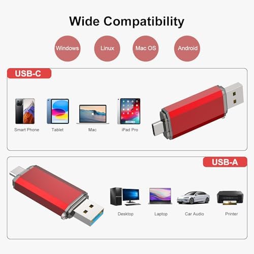 RAOYI 256 GB USB C Flash Drive – Lightning-Fast 130 MB/s Dual OTG Metal Memory Stick for Seamless File Transfers with Keychain – Ideal for Smartphones, PCs, Mac Books, and Tablets (Red) – Ultimate Storage Solution for On-the-Go Professionals