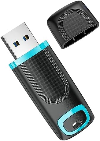 RAOYI 256 GB USB 3.0 Flash Drive – High-Speed Thumb Drive for Effortless Data Transfer Across PCs & Macs – Ultimate Portable Storage Solution for Professionals and Everyday Use