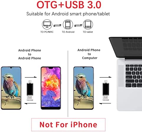 Vansuny 256 GB Dual Type C USB Flash Drive – Versatile OTG Memory Stick for Android, PC & Tablet – High-Speed USB 3.0 Data Transfer with Keychain Attachment – Ideal Solution for Photos, Videos & Document Storage