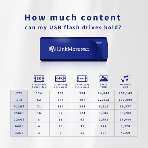 Maximize Your Data Storage with Link More EJECT32 256 GB USB 3.2 Flash Drive – Fast 100 MB/s Read Speeds & Retractable Design for Ultimate Portability and Compatibility with PC and Consoles