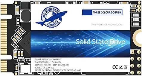 Enhance Your Computing Power with the Dogfish 250 GB M.2 2242 SSD – Lightning-Fast Internal Solid State Drive for Unmatched Speed and Compatibility in Desktops & Laptops