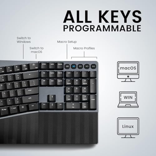 Ergonomic Perixx PERIMICE-713 Wireless Vertical Mouse for Right-Handed Users – 6 Customizable Buttons, Adjustable 3-Level DPI, Sleek Black Design, Unmatched Comfort for Long Hours of Work or Gaming