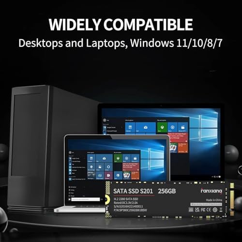 Boost Your System’s Performance with the S201 256 GB M.2 SATA III SSD – High-Speed Internal Solid State Drive for Laptops and Desktops, Featuring Rapid Read Speeds Up to 550 MB/sec and SLC Cache Technology for Ultimate Efficiency and Reliability