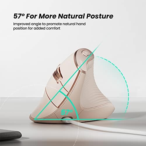 Nulea M504 Ergonomic Wired Vertical Mouse with 4 Adjustable DPI Settings and 11 RGB Lighting Modes – Ultimate Comfort and Precision for Laptop, PC, Desktop, and Mac Users