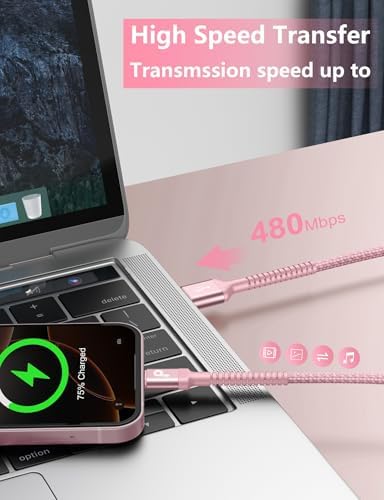 10 FT USB-C to USB-C Charging Cable 2-Pack – Premium Fast Charge & Data Transfer Solution for i Phone 16, Samsung Galaxy S23, LG, Nintendo Switch – Flexible, Durable Nylon Braided Design for Ultimate Convenience and Longevity