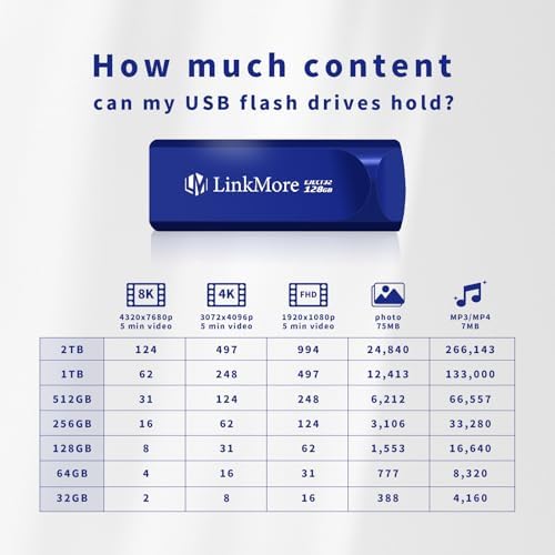 Maximize Your Data Storage with Link More EJECT32 256 GB USB 3.2 Flash Drive – Fast 100 MB/s Read Speeds & Retractable Design for Ultimate Portability and Compatibility with PC and Consoles