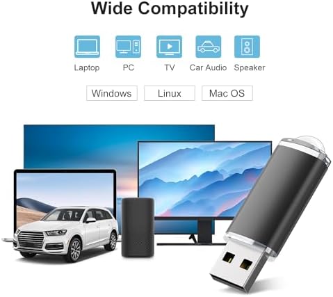 RAOYI 20 Pack 16 GB USB Flash Drive Set – Versatile USB 2.0 Memory Sticks for Effortless Data Storage and Sharing – Sleek Black Design for Home, Office, and Educational Use – Reliable and Portable Pen Drive Bundle