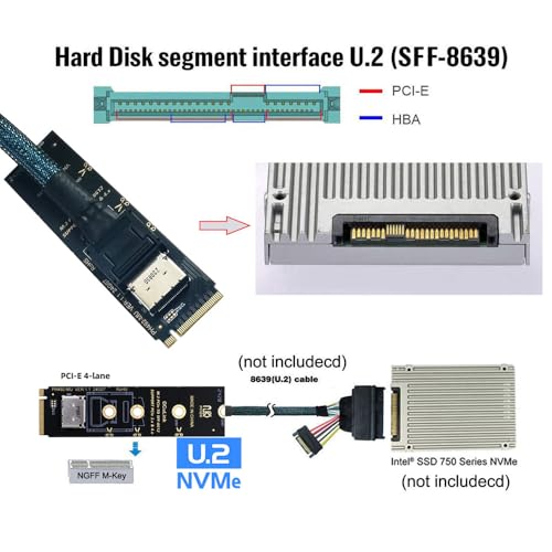 Unlock Blazing Fast Data Transfers with cablecc PCI-E 3.0 M.2 M-Key to Oculink SFF-8612/SFF-8611 Host Adapter – Perfect for Gamers & Creators Seeking Ultimate NVMe SSD Performance. Experience unparalleled speed and compatibility with this high-performance adapter engineered for M.2 NVMe SSDs in the 2260 form factor. The cutting-edge Oculink SFF-8612 and SFF-8611 connections ensure robust data transmission for seamless gaming and content creation. Enjoy hassle-free installation and a durable design that stands up to daily demands, making this essential upgrade a must-have for any advanced computing setup. Whether you’re enhancing your workflow or building the ultimate gaming rig, this PCI-E 3.0 adapter guarantees enhanced performance and reliability. Elevate your data storage capabilities today and discover the difference this premium internal SSD accessory can make in your system’s efficiency and speed. Don’t compromise on quality—transform your digital experience with the cablecc Oculink Host Adapter now!