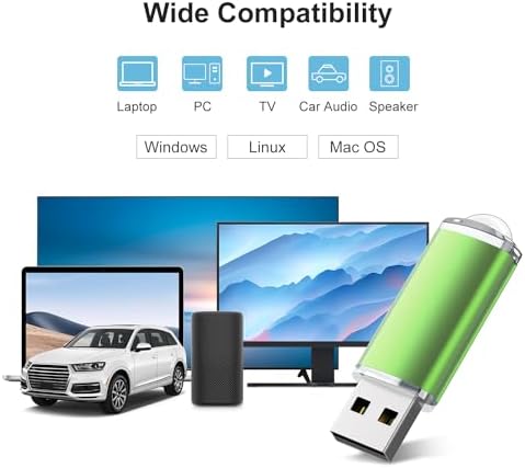 RAOYI 20 Pack 16 GB USB Flash Drive Set – Versatile USB 2.0 Memory Sticks for Effortless Data Storage and Sharing – Sleek Black Design for Home, Office, and Educational Use – Reliable and Portable Pen Drive Bundle