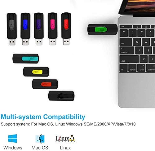 RAOYI 5-Pack 64 GB USB Flash Drives – High-Speed USB 2.0 Memory Sticks for Effortless Data Transfer and Storage – Portable Thumb Drives for PC and Laptop – Ideal for Organizing Photos, Documents, and Videos – Multi-Pack Convenience for Home and Office Use