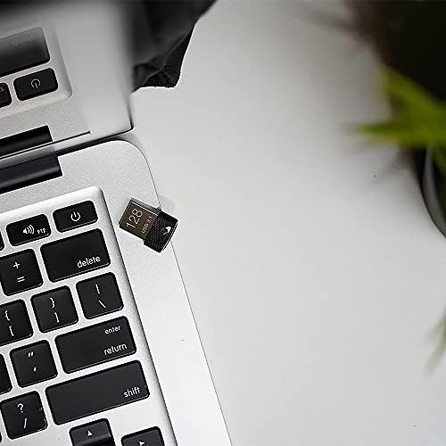 PNY 2 GB Optima SD Card – Versatile Class 4 Flash Storage for Cameras and Smartphones, Reliable Data Solution for Everyday Use