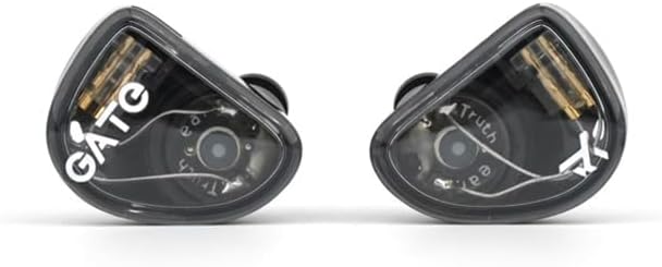 GATE Dynamic Driver In-Ear Headphones: Premium Black Earbuds with Interchangeable 3.5 mm Cable and Built-In Microphone – Unmatched Sound Quality and Comfort for Music, Gaming, and Calls, Ideal for Audiophiles and Everyday Use