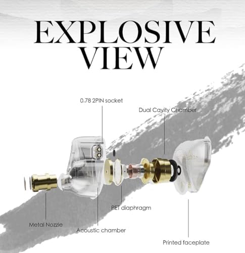 Linsoul TANGZU Wan’er S.G Audiophile In-Ear Earphones – 10 mm Dynamic Driver with PET Diaphragm for Superior Sound Quality, Ergonomic Design for Ultimate Comfort, Detachable 2-Pin OFC Braided Cable, Built-in Mic for Convenient Calls – Stylish Green Finish Perfect for Musicians and DJs