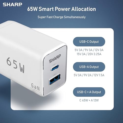 Rapid Charge 65 W USB-C Dual-Port Charger – Advanced Ga N Technology for Fast Power Delivery to Mac Book Pro, i Pad Pro, Galaxy S23, i Phone 15 & More – Compact & Foldable for On-the-Go Convenience – Modern White Design for Sleek Aesthetic – Perfect for Travelers & Busy Professionals