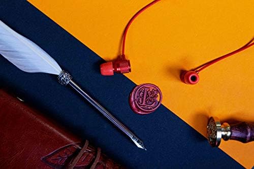 LUDOS Ultra Magnetic USB-C Earbuds for i Phone 16 & Samsung Galaxy – Superior Sound Performance with 5-Year Warranty, Ergonomic Comfort for All-Day Use, Tangle-Free Magnetic Design for Music and Calls – Sleek Black Finish