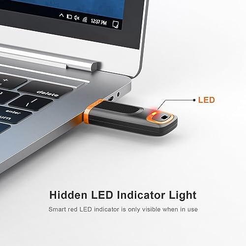 RAOYI 256 GB USB 3.0 Flash Drive – High-Speed Thumb Drive for Effortless Data Transfer Across PCs & Macs – Ultimate Portable Storage Solution for Professionals and Everyday Use