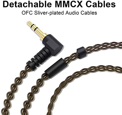 BASN Bsinger PRO Dynamic Driver In-Ear Monitor Headphones for Musicians – Premium Noise Isolating Earbuds with Dual Detachable MMCX Cables (Sleek Black Finish) for Ultimate Sound Clarity and Comfort