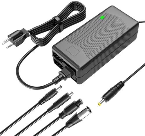 Rapid Charge 54.6 V 2 A Electric Charger for 48 V Lithium Batteries – Multi-Output Power Adapter with Enhanced Safety Features for E-Bikes and Versatile Applications