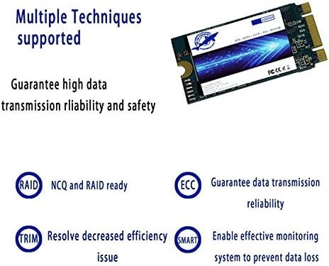 Enhance Your Computing Power with the Dogfish 250 GB M.2 2242 SSD – Lightning-Fast Internal Solid State Drive for Unmatched Speed and Compatibility in Desktops & Laptops