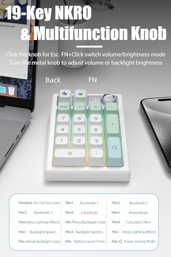 Gasket Creamy Mechanical Numpad – Wireless RGB Backlit Programmable Macro Keypad with Hot Swappable Keys, USB-C and Bluetooth 5.0 Connectivity for Enhanced Productivity on Windows and Mac – Compact Rechargeable Numeric Keyboard with Durable Metal Knob for Streamlined Workflow