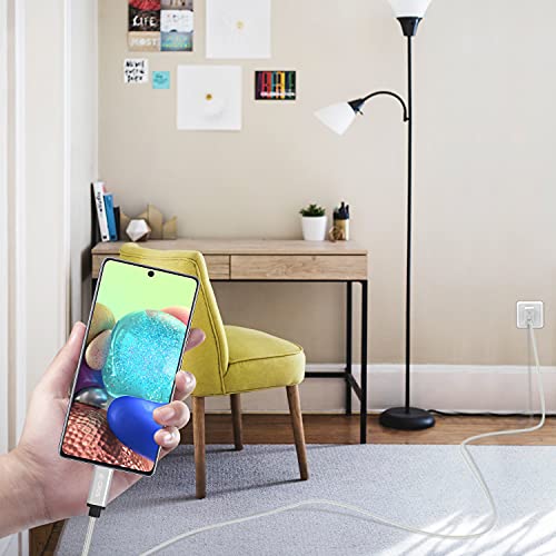 CBUS 10 ft USB-C to C Fast Charging Cable – Heavy-Duty Braided Cord for i Phone 16/15/Pro/Max/Plus & Android Devices – Superior Durability & Super Speed USB-C Charger in Stylish Purple – Unmatched Flexibility for Home & Travel Use