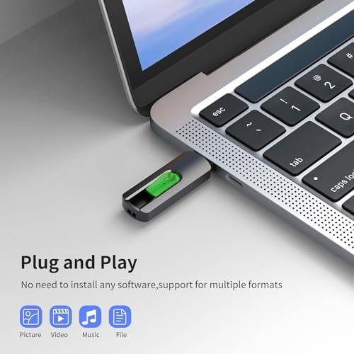 RAOYI 5-Pack 64 GB USB Flash Drives – High-Speed USB 2.0 Memory Sticks for Effortless Data Transfer and Storage – Portable Thumb Drives for PC and Laptop – Ideal for Organizing Photos, Documents, and Videos – Multi-Pack Convenience for Home and Office Use