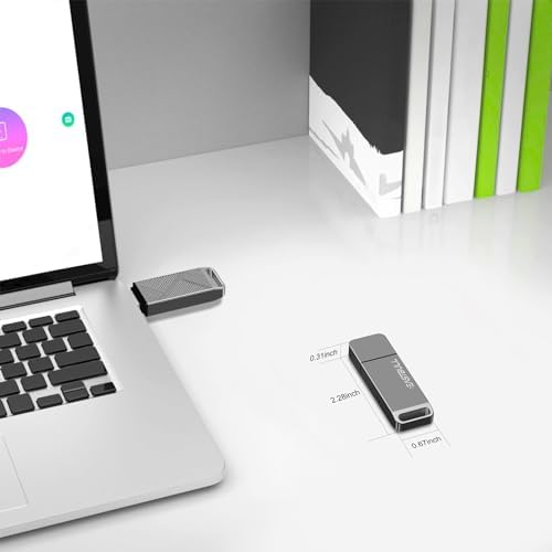 EASTBULL 256 GB High-Speed USB 3.0 Flash Drive with USB C Adapter & Keychain – Sleek Metal Design for Ultimate Portability, Fast Data Transfers, and Enhanced Compatibility for All Devices