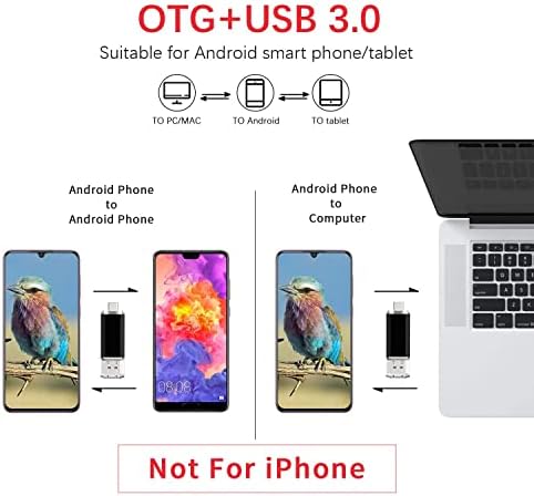 Vansuny 256 GB Dual Type C USB Flash Drive – Versatile OTG Memory Stick for Android, PC & Tablet – High-Speed USB 3.0 Data Transfer with Keychain Attachment – Ideal Solution for Photos, Videos & Document Storage