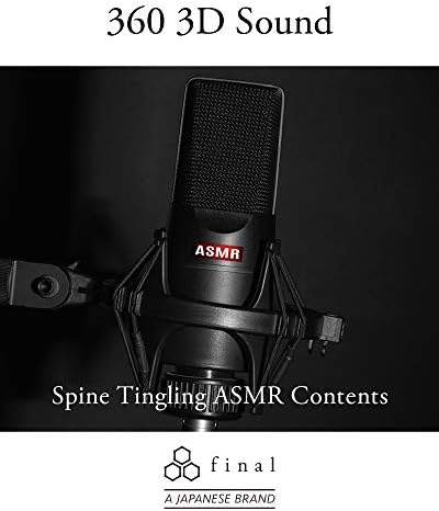 Final E500 – Premium 3 D Spatial Audio Earphones for VR, ASMR, Gaming, and 360 Music – Unmatched Comfort and Versatile Device Compatibility in Black