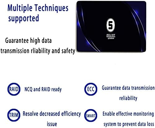 Transform Your System with the Shark Speed 64 GB MSATA SSD – High-Performance Internal Solid State Drive for Enhanced Speed and Storage in Desktops & Laptops – Lightning-Fast SATA III 6 Gb/s for Gamers and Professionals Seeking Unmatched Efficiency and Reliability