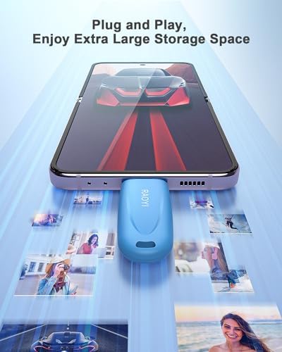 RAOYI 256 GB USB C Flash Drive – Lightning-Fast 130 MB/s Dual OTG Metal Memory Stick for Seamless File Transfers with Keychain – Ideal for Smartphones, PCs, Mac Books, and Tablets (Red) – Ultimate Storage Solution for On-the-Go Professionals