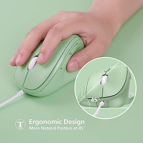 Revolutionize Your Workspace with the Green Ergonomic Wireless Mouse – Superior Vertical Design for Ultimate Comfort, Silent Clicks for Distraction-Free Focus, Long-Lasting Battery Life Powered by 1 AA Battery, Precision Control Up to 1600 DPI with USB Receiver Compatibility for PCs, Laptops, and Desktops