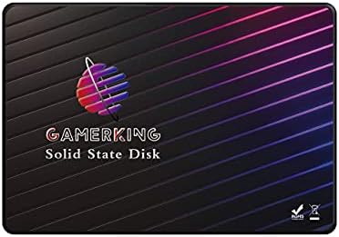 Transform Your Computing with GAMERKING 120 GB m SATA SSD – Lightning-Fast Internal Solid State Drive for Desktops and Laptops, SATA III 6 Gb/s for Superior Speed and Reliability