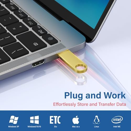 Wooolken 5 Pack Sleek Metal 64 GB USB Flash Drives – Durable USB 2.0 Memory Sticks with Keychain for Effortless Data Storage and Transfer on PC & Laptop – Perfect for Professionals and Students