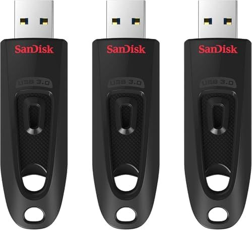 San Disk Ultra 4 GB Compact Flash Memory Card – High-Speed 30 MB/s Transfer Rate for Effortless Data Storage and Transfer Solutions for Photographers and Creatives