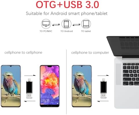 Vansuny 256 GB Dual Type C USB Flash Drive – Versatile OTG Memory Stick for Android, PC & Tablet – High-Speed USB 3.0 Data Transfer with Keychain Attachment – Ideal Solution for Photos, Videos & Document Storage