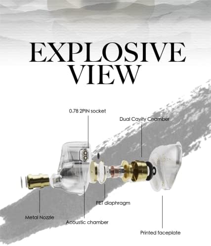 YINYOO TANGZU Wan er S.G High-Fidelity In-Ear Monitors – Exceptional 10 mm Dynamic Driver Earbuds with Ergonomic Comfort Design, Detachable Cable, Integrated Microphone – Perfect for Audiophiles, Musicians & Sound Lovers in Vibrant Blue Finish for Unmatched Audio Performance