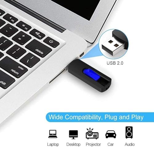 RAOYI 5-Pack 64 GB USB Flash Drives – High-Speed USB 2.0 Memory Sticks for Effortless Data Transfer and Storage – Portable Thumb Drives for PC and Laptop – Ideal for Organizing Photos, Documents, and Videos – Multi-Pack Convenience for Home and Office Use