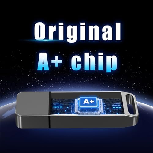 EASTBULL 256 GB High-Speed USB 3.0 Flash Drive with USB C Adapter & Keychain – Sleek Metal Design for Ultimate Portability, Fast Data Transfers, and Enhanced Compatibility for All Devices