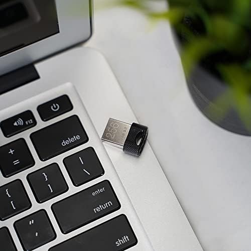 PNY 2 GB Optima SD Card – Versatile Class 4 Flash Storage for Cameras and Smartphones, Reliable Data Solution for Everyday Use