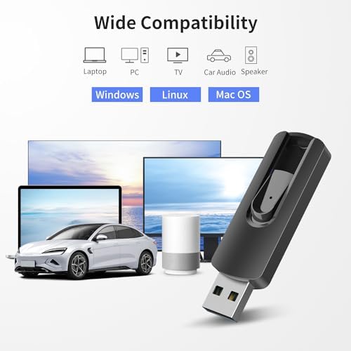RAOYI 5-Pack 64 GB USB Flash Drives – High-Speed USB 2.0 Memory Sticks for Effortless Data Transfer and Storage – Portable Thumb Drives for PC and Laptop – Ideal for Organizing Photos, Documents, and Videos – Multi-Pack Convenience for Home and Office Use