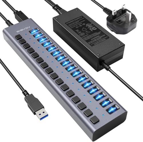 Unleash Your Productivity with the ACASIS 10-Port USB C Hub – Ultra-Fast 10 Gbps Data Transfer, 60 W Power Adapter, Individual Port Control, and Stylish Aluminum Build for Seamless Multi-Device Connectivity in Any Professional Environment