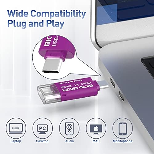 Ultra-Fast INLAND 64 GB Type-C & USB 3.0 Dual Interface Flash Drive – Perfect for Seamless Data Transfer & Portable Storage, 2-Pack Mini Memory Sticks for Effortless File Management