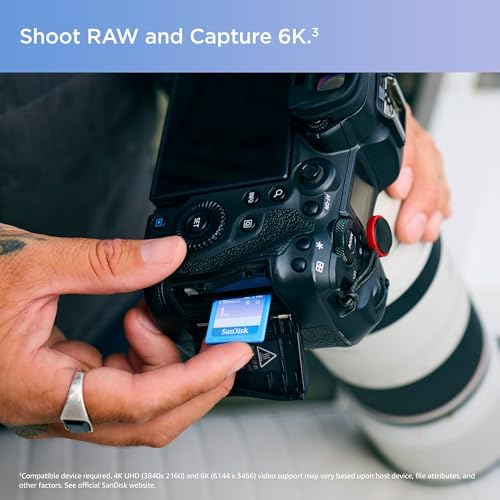 San Disk 4 GB Ultra Compact Flash Memory Card – High-Speed 30 MB/s Transfer Rate for Photographers and Videographers, Ideal for HD Video Recording and Burst Shooting, Durable Design with Write-Protect Switch for Secure Data Storage