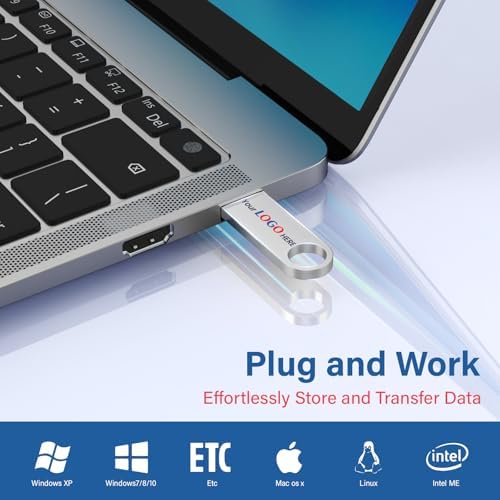 Wooolken 5 Pack Sleek Metal 64 GB USB Flash Drives – Durable USB 2.0 Memory Sticks with Keychain for Effortless Data Storage and Transfer on PC & Laptop – Perfect for Professionals and Students